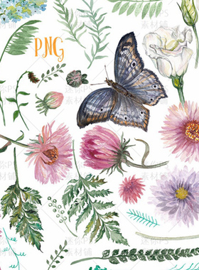 115复古紫色雏菊花园蝴蝶园艺盆栽店铺手绘水彩PNG免抠PS设计素材