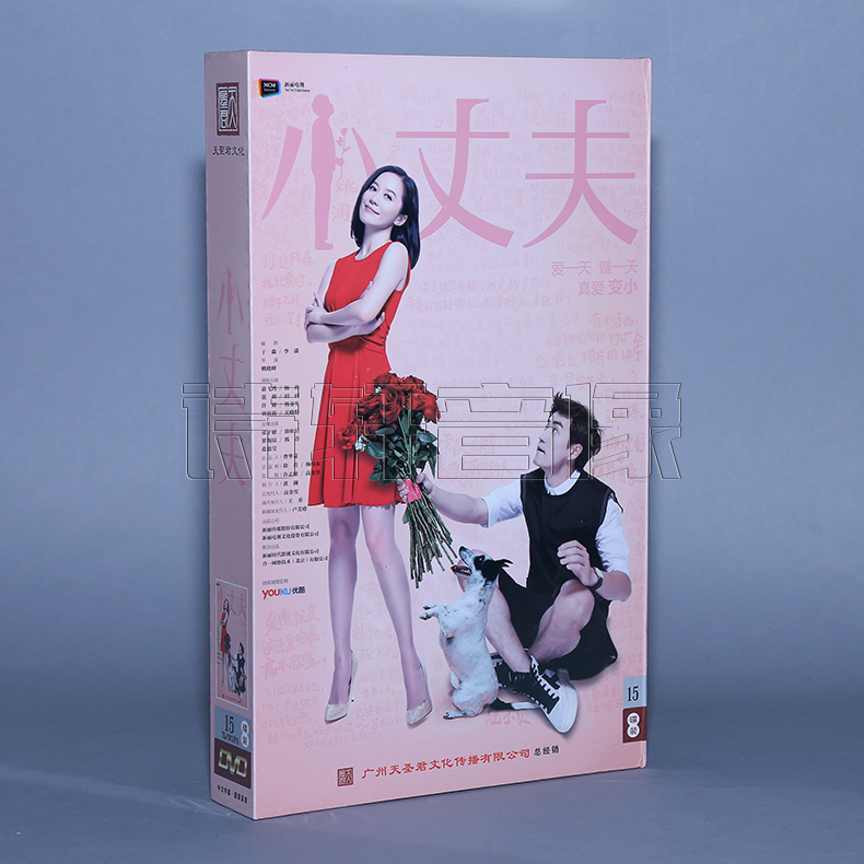正版电视剧dvd碟片光盘 小丈夫 珍藏版 （15DVD） 俞飞鸿 杨玏