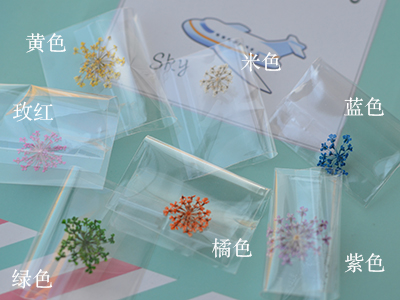 干花玻璃罩填充滴胶饰品材料