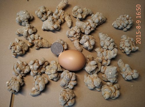 十七年老店优选正品可打超细粉