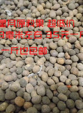 白色天然原料星月散珠菩提子
