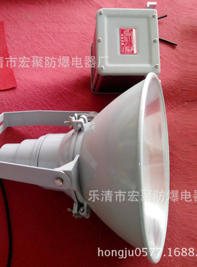 SW7500防振投光灯 ZY8310抗震型投光灯 ZY8300超强抗震型CNT9160A