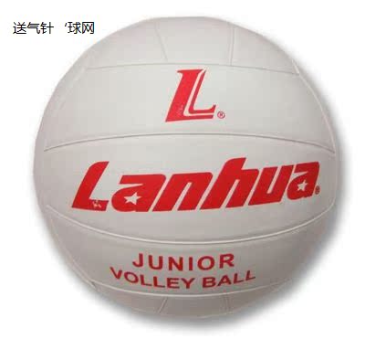 Ballon de volley - Ref 2008630 Image 1