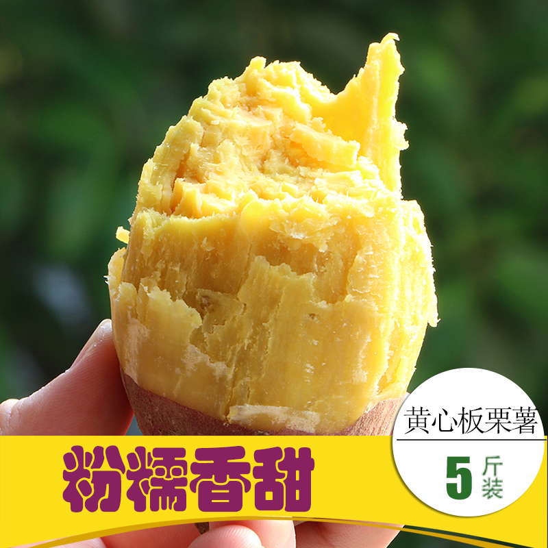 红薯 黄肉 净重5斤装 日式板栗薯 山芋 番薯 地瓜 新鲜红薯