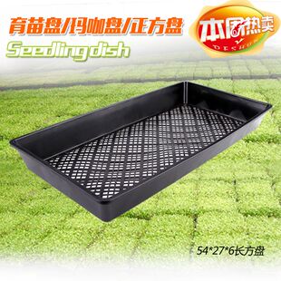 正方形 石斛盘 玛咖盘 苗盘 芽苗菜 种植盘 长方盘 育苗盘