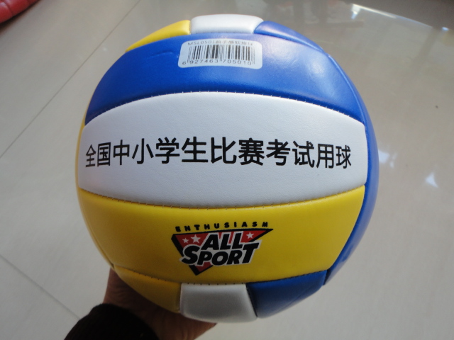Ballon de volley - Ref 2012891 Image 1