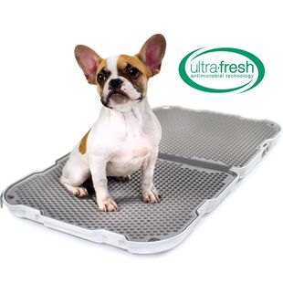 Dog Potty. 易清洗宠物狗尿盆Shake modko公司便携式