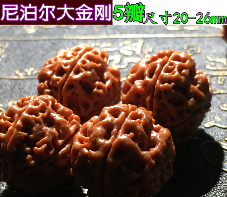 精品尼泊尔大金刚5五67瓣爆肉菩提子梅花矮桩双龙纹散珠原籽手串