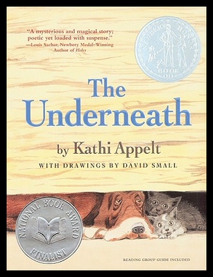 【预售】The Underneath