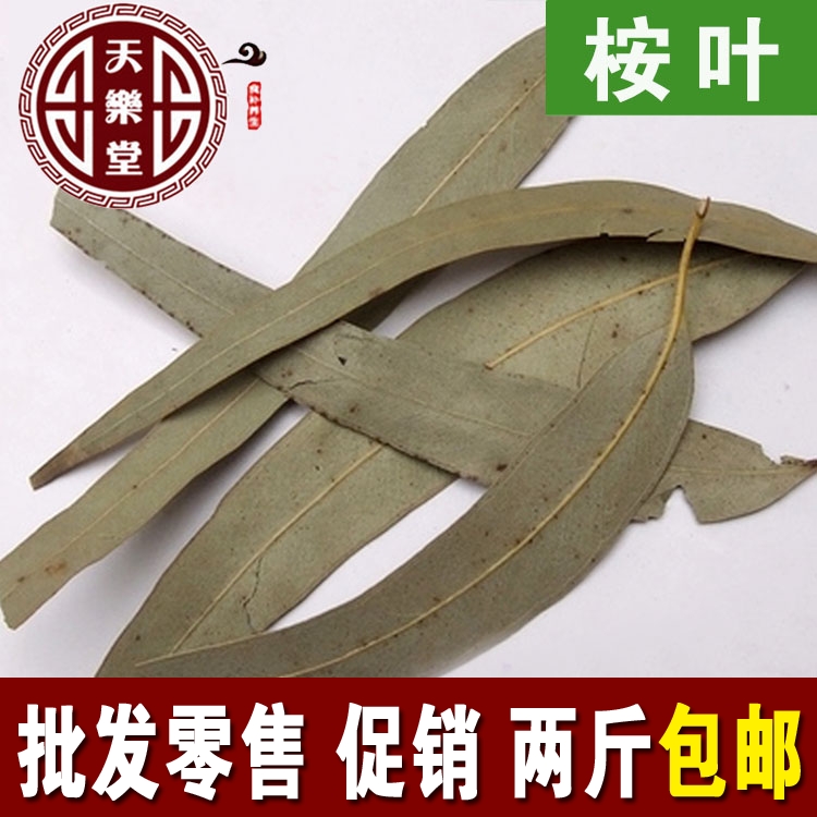 桉叶 桉树叶桉叶 500克 2斤包邮 农副产品初加工