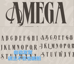 LOGO海报设计素材自动发货 英文手写印刷简洁粗细罗马字风格 字体