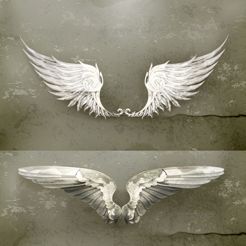 15款白色金色黑色翅膀矢量图设计素材 eps格式