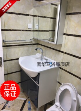 TOTO 浴室柜含抽拉龙头DL319C2 灰黑色储物镜柜LDSW753LMAW753RR