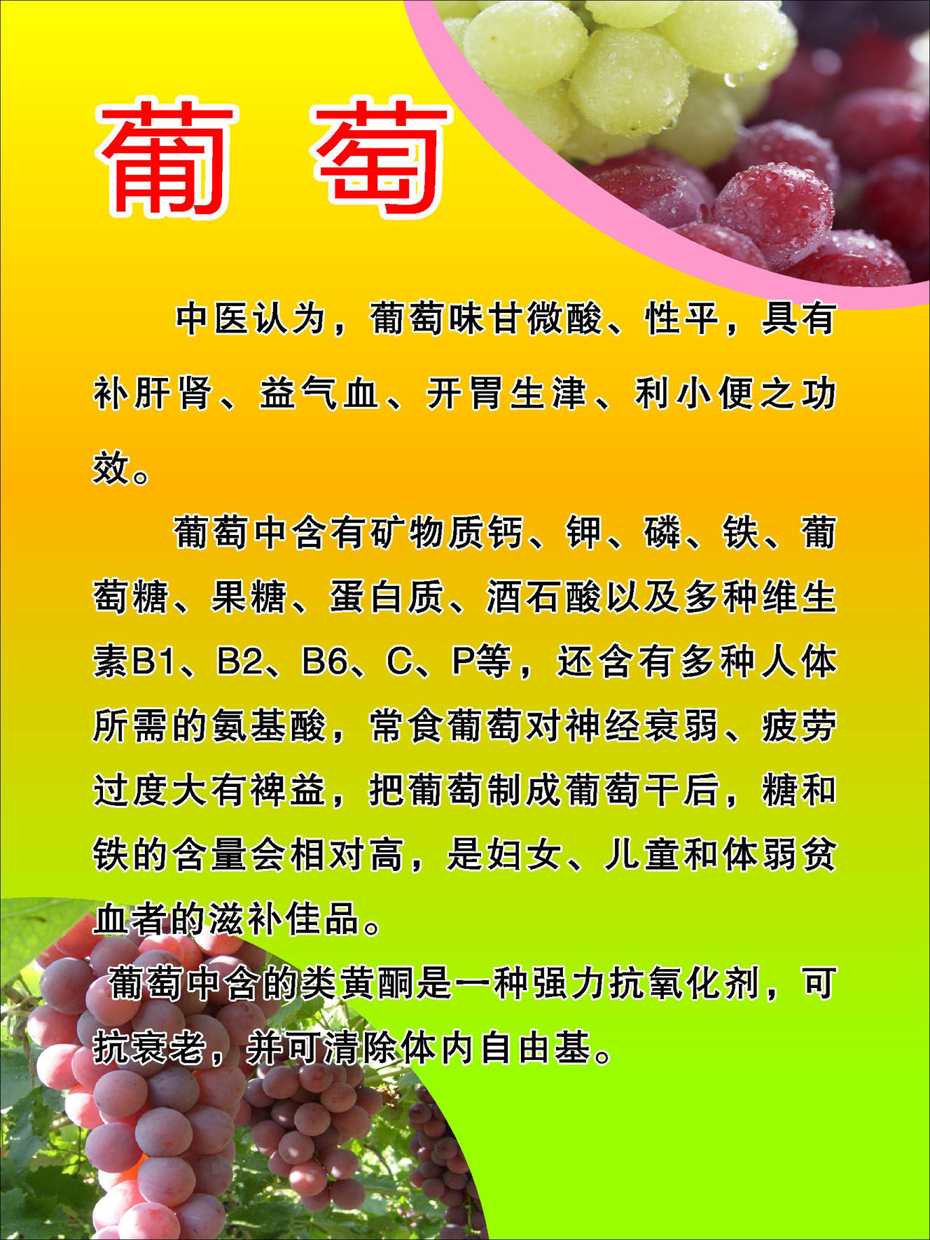 746海报印制展板写真喷绘贴纸823超市水果店葡萄好处介绍