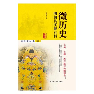 微历史明朝其实很有料 丁振宇 北京工业大学出版社 历史普及读物 书籍