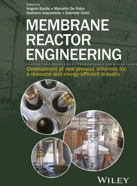 【预订】Membrane Reactor Engineering. Applic...