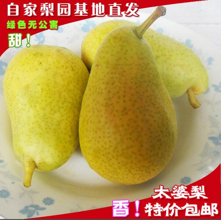 特价包邮葫芦梨大头梨洋梨啤梨太婆梨烟台软梨新鲜孕鸭梨水果
