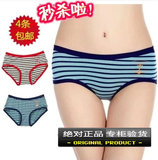 Slip jeunesse DEANFUN simple en autre - Ref 642095 Image 12