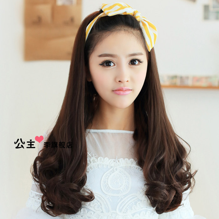 Perruque Les cheveux longs - Ref 2608374 Image 1