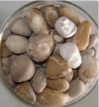 纯天然 狗宝 别名 狗结石 5克280元 包邮 可包质检