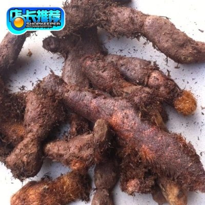 新鲜骨碎补毛姜爬岩姜巴岩姜猴姜申姜 500克包邮