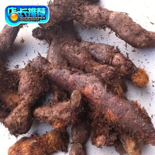 新鲜骨碎补毛姜爬岩姜巴岩姜猴姜申姜 500克包邮