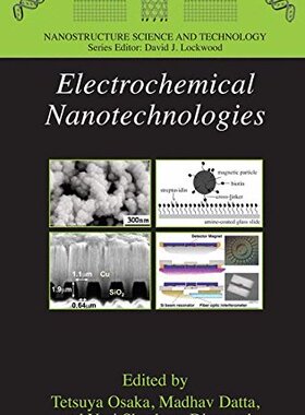 【预订】Electrochemical Nanotechnologies