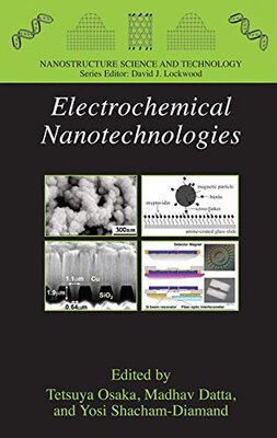 【预订】Electrochemical Nanotechnologies
