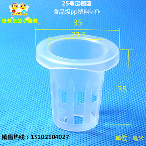 25号定植篮10只 无土栽培 水培 水耕蔬菜定植篮 种植蓝杯 固根器