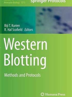 【预订】Western Blotting