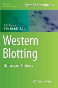 【预订】Western Blotting