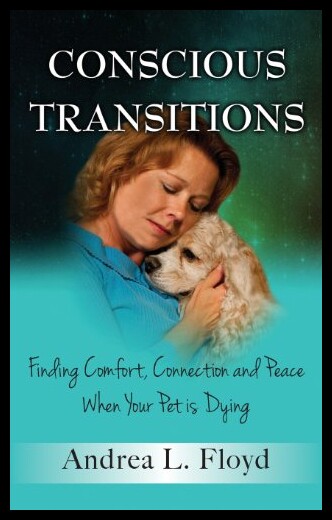 【预售】Conscious Transitions: Finding Comfort