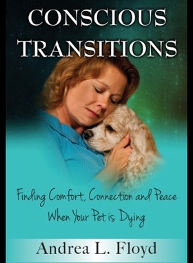 【预售】Conscious Transitions: Finding Comfort