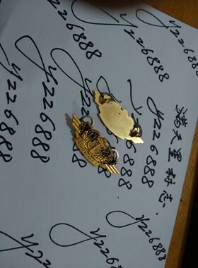 收藏海事金属胸牌