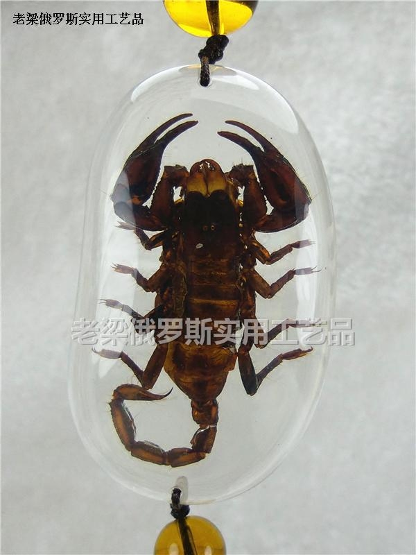 z1特价昆虫水晶琥珀家居吊饰汽车挂件棕黑蝎子无色透明鹅卵石形