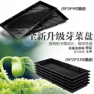 芽苗菜盘芽菜盘小麦草育苗盘芽苗盘玛咖盘长方盘种植盆育苗盒