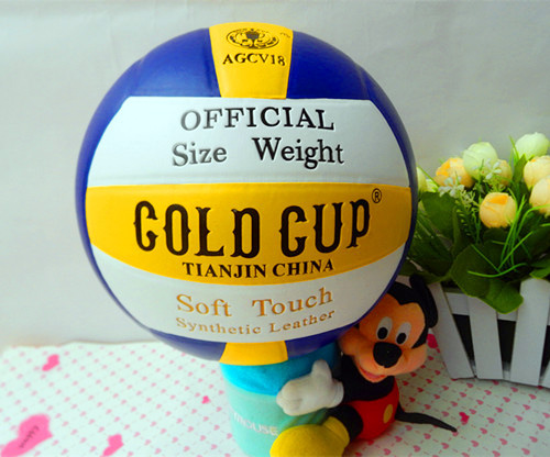 Ballon de volley-ball - Ref 2016615 Image 1