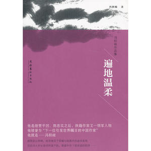 遍地温柔-冯积岐作品集