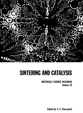 【预订】Sintering and Catalysis