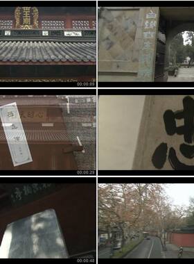 岳王庙精忠岳飞精忠报国/中国高清实拍视频素材