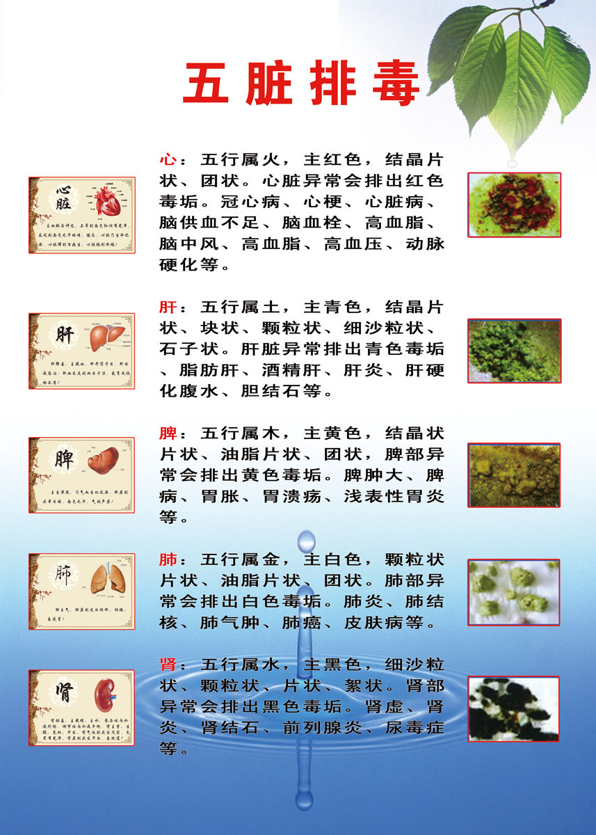 733海报印制展板写真喷绘贴纸164健康养生五脏排毒图