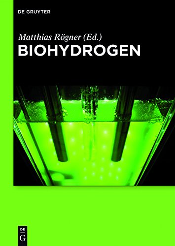 【预售】Biohydrogen