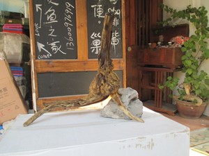 天然/沉水木/精品M901号 树叉型 纹理好多分叉 优质 沉木NEW