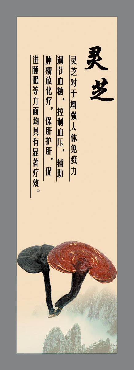 745海报印制展板写真喷绘贴纸892灵芝功效宣传海报