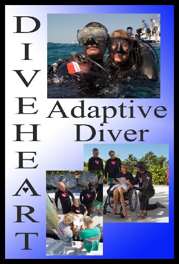 美国库房发货，通常付款后5-8周到货！