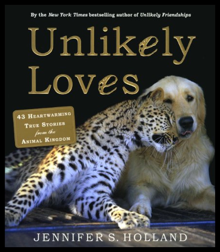 美国库房发货，通常付款后5-8周到货！