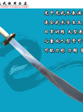 龙中龙武术表演花刀训练太极
