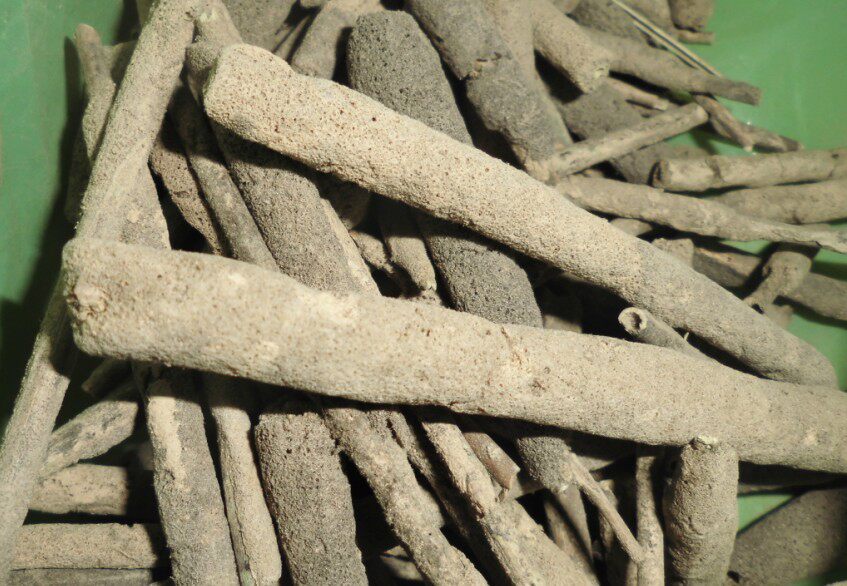 紫梢花紫梢花粉淡水海绵紫霄花500g包邮