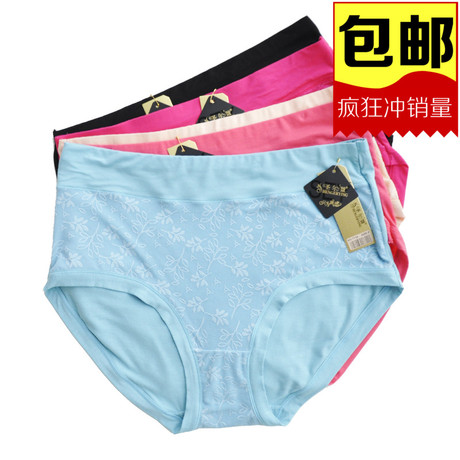 Slip personne âgée en coton - Ref 643143 Image 14