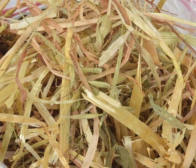 黄金澳麦草燕麦草替代荷兰猪主食